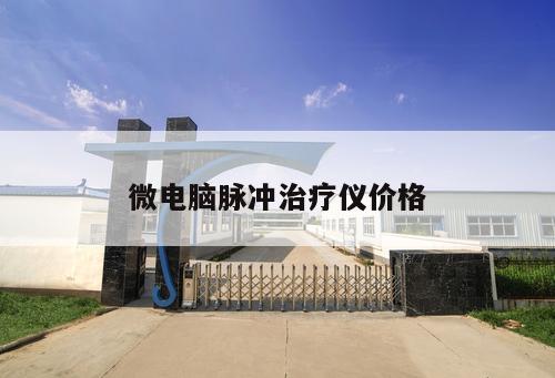 微電腦脈沖治療儀價格