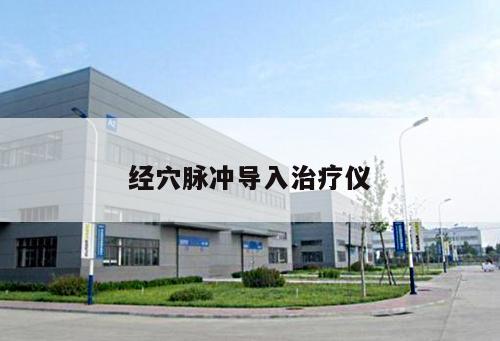 經穴脈沖導入治療儀