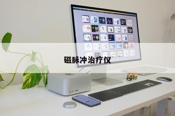 磁脈沖治療儀