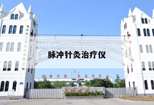 脈沖針灸治療儀