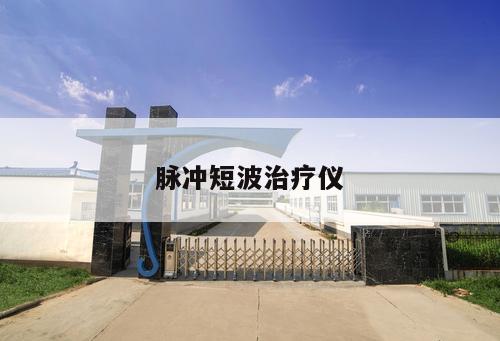 脈沖短波治療儀