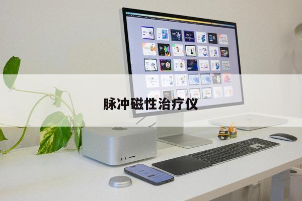脈沖磁性治療儀