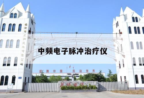 中頻電子脈沖治療儀